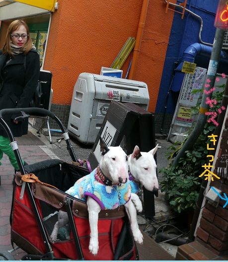 ���ގ���