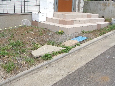 d277bacd.jpg