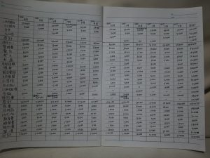 家計診断記入例(生活費一覧表)