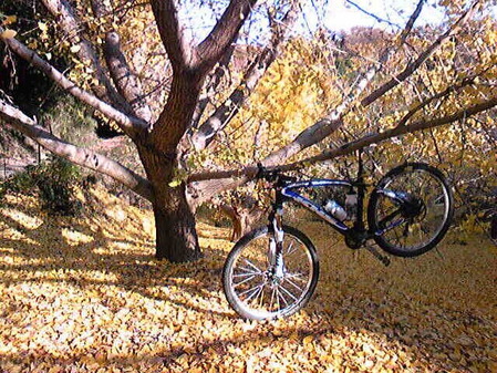 v1323598212[1]