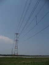 harukichi7