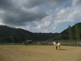 maemori2