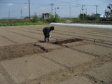 harukichi1