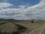 sibetu2