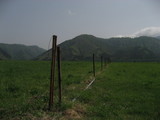 maemori4