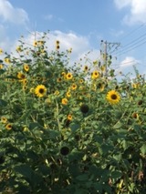 2db59a02.jpg