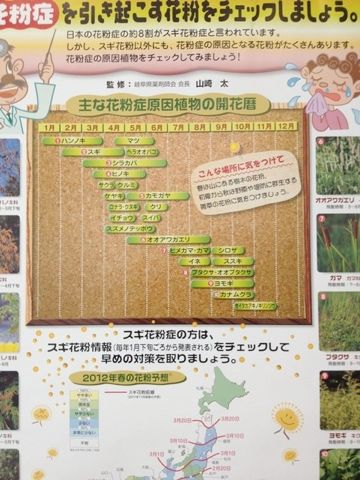 花粉症表