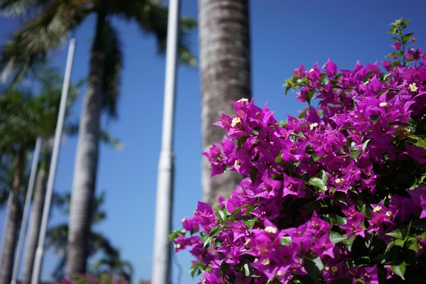 th_DSC00827