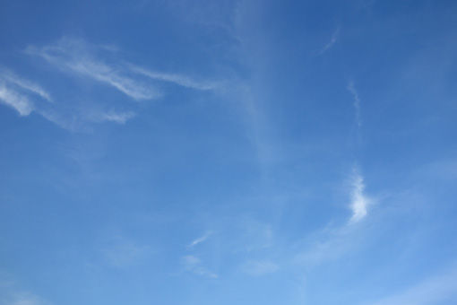 DSC00579