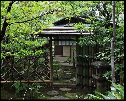 garden_thick_tee-room_02