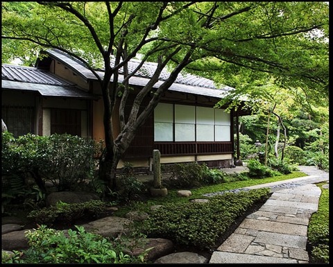 garden_thick_tee-room_01