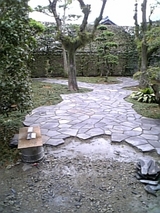 4134379f.jpg