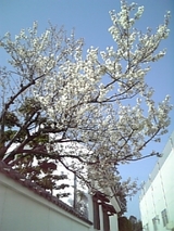 e91b25ae.jpg