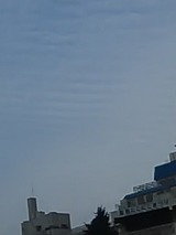 181016_07230