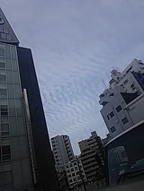 181016_07232