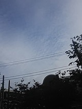 181016_07080