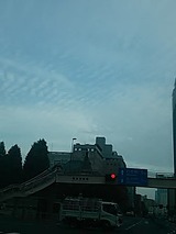 181016_07160