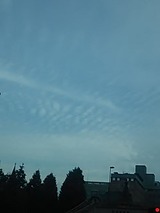181016_07161