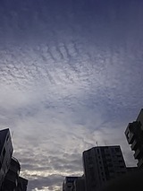 181016_07091
