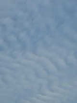181016_07231
