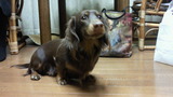 chiro