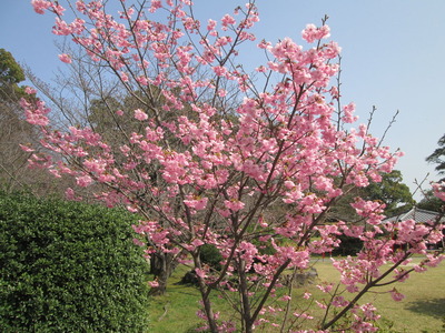 032