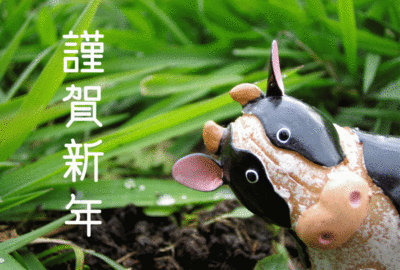�����ޤ��Ƥ���ǤȤ��������ޤ�