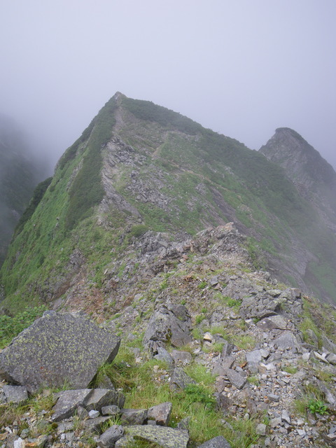 IMGP4602