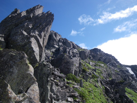 IMGP4578