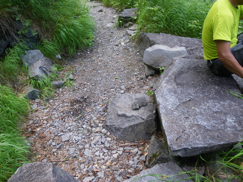 IMGP4616