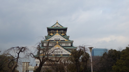 P3060898