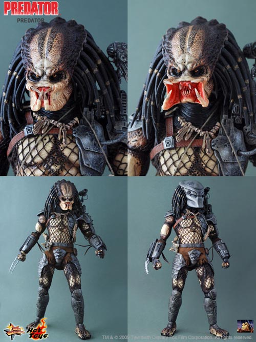 HTPREDATOR (3)