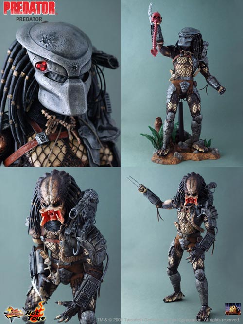 HTPREDATOR (5)