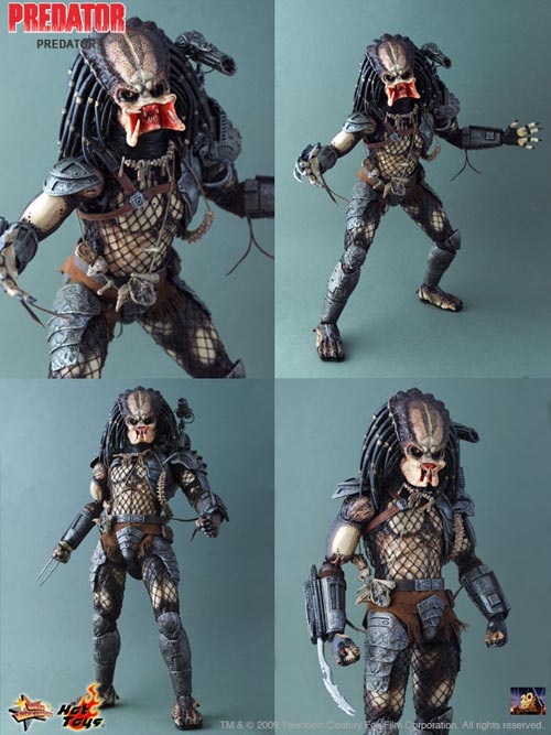 HTPREDATOR (2)