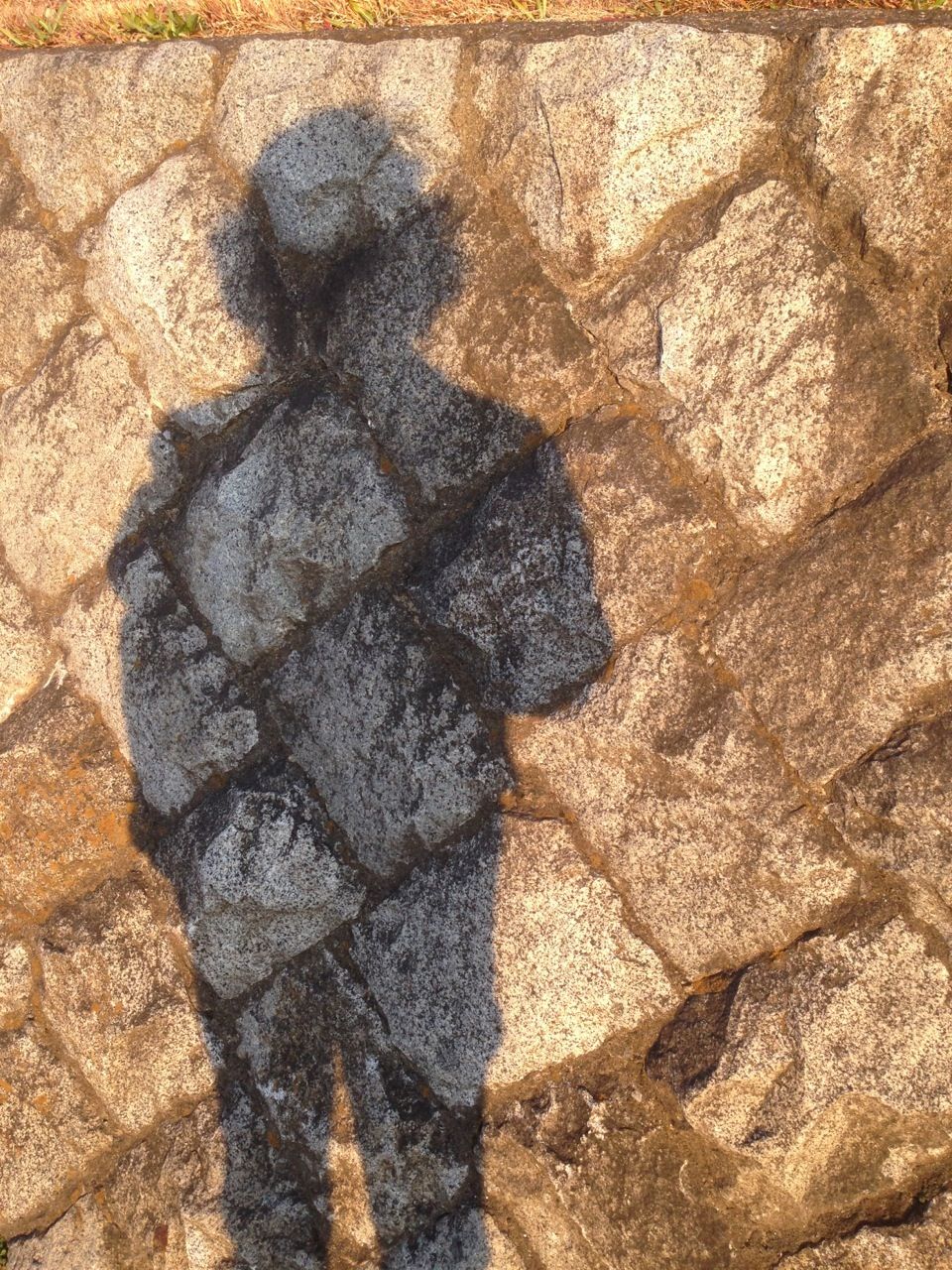 ±Æ