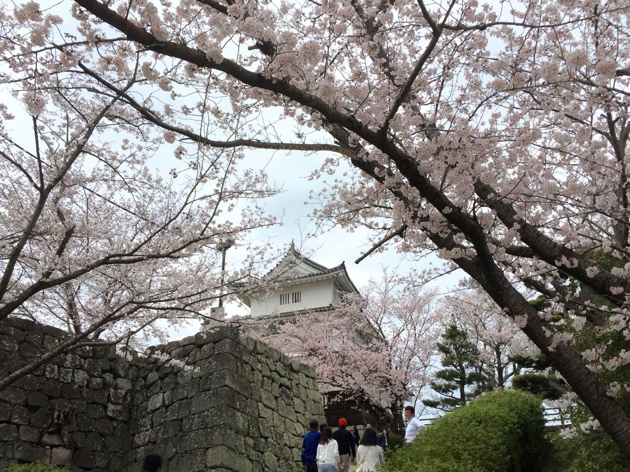 丸亀城_3
