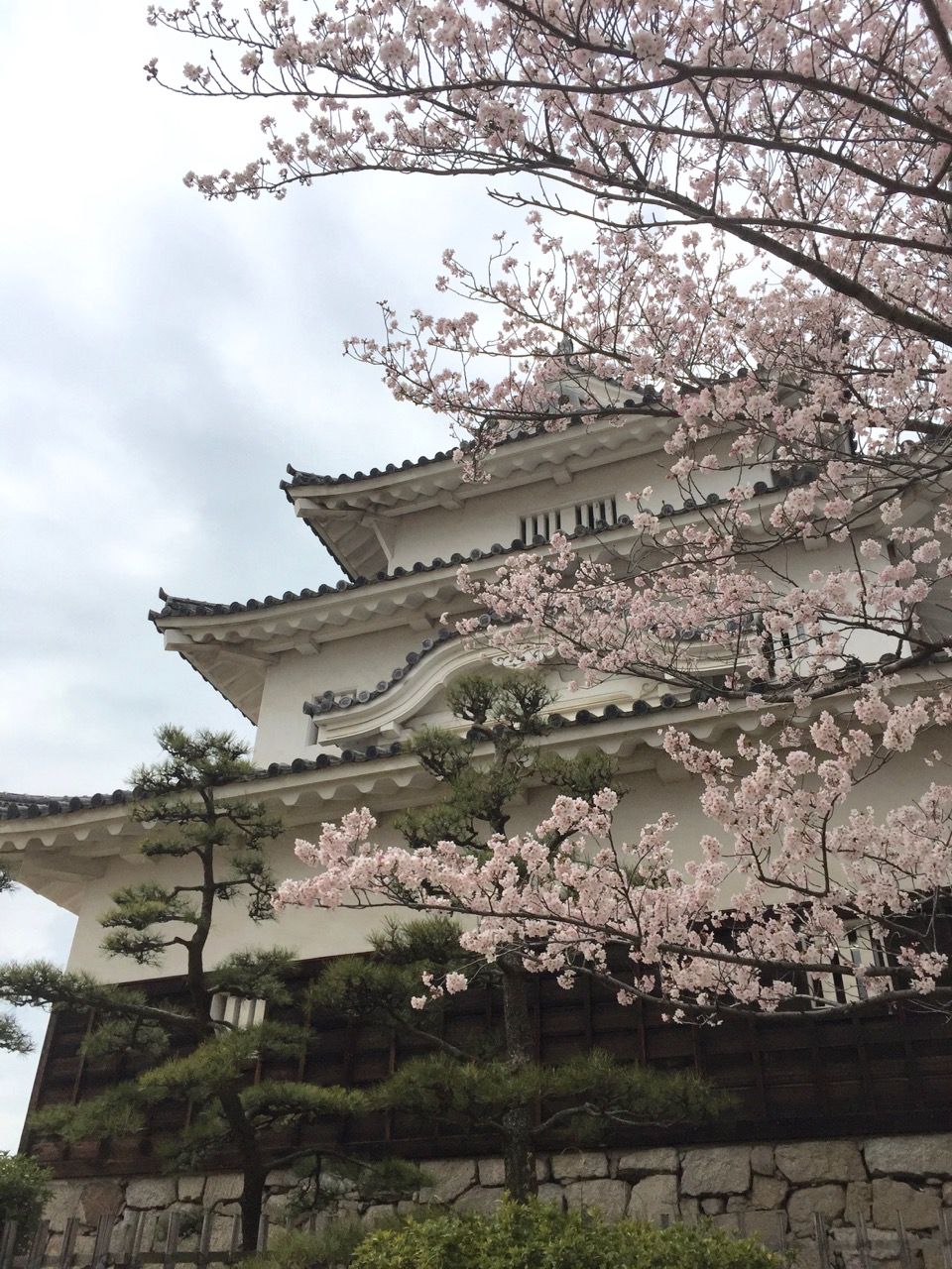 丸亀城_4