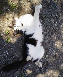 200909251051