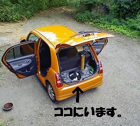 センちゃん