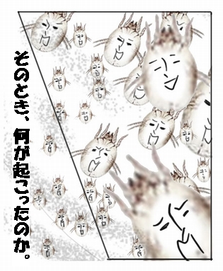 ダニ兄