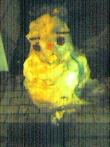 050306_0418~001.jpg