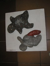 P6101513