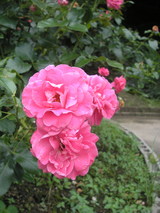 P8020582