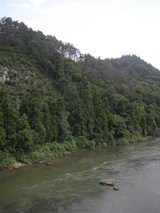 P8050726