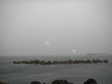 P7190125