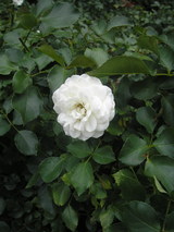 P8020569