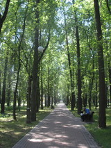 84f5387b.jpg