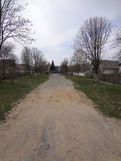 DSC01563
