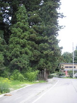 P7280318