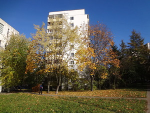 DSC00717